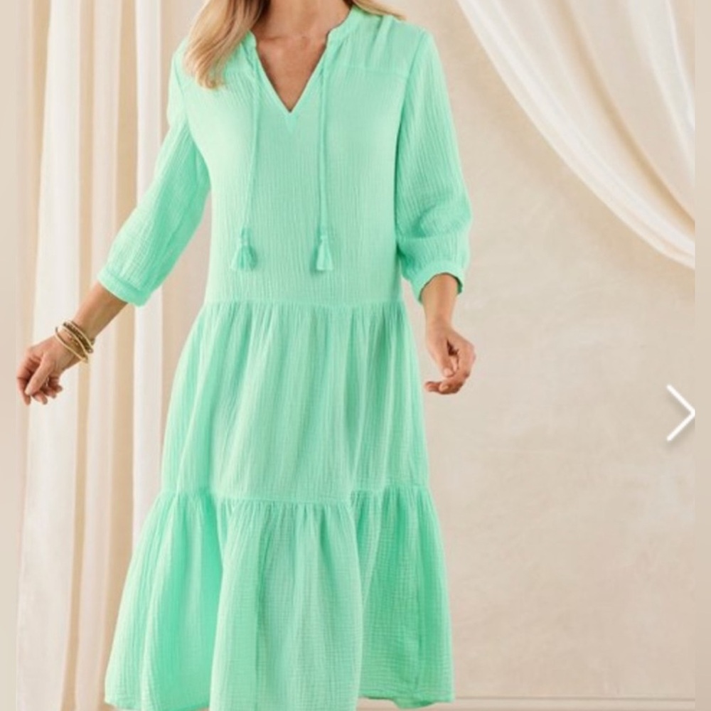 Soft Surroundings Mint Green Tiered Gauze Dress Size PM